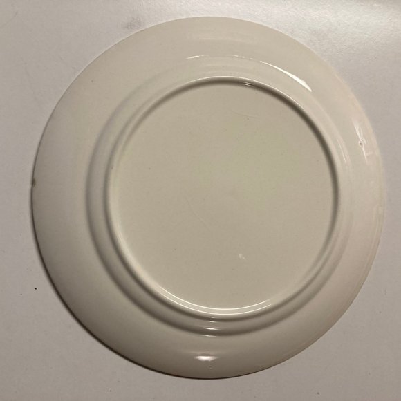 Vintage Dinner Plates (2) 9 Inches with Pink & Blue Flowers / Roses - Picture 10 of 16